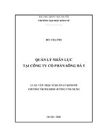 Luận văn thạc sĩ quản lý nhân lực tại công ty cổ phần sông Đà 5