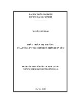 Luận văn thạc sĩ phát triển thị trường của công ty tài chính cổ phần Điện lực