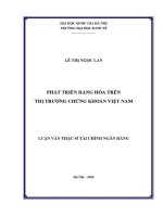 Luận văn thạc sĩ phát triển hàng hóa trên thị trường chứng khoán việt nam