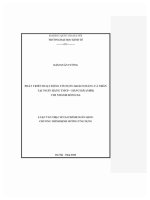 Luận văn thạc sĩ phát phát triển hoạt Động tín dụng khách hàng cá nhân tại ngân hàng tmcp hàng hải msb chi nhánh Đống Đa