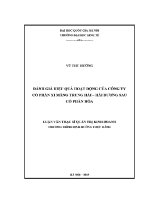 Luận văn thạc sĩ Đánh giá hiệu quả hoạt Động của công ty cổ phần xi măng trung hải hải dương sau cổ phần hóa