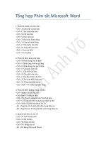 Một số phím tắt thông dụng cho microsoft word