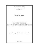 Luận văn thạc sĩ phân tích tài chính công ty cổ phần viglacera Đông anh