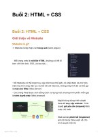 HTML + CSS