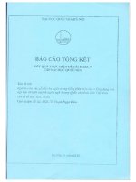 00060000334 nghiên cứu các yếu tố văn ngôn trong tiếng hán hiện Đại Ứng dụng vào dạy học chuyên ngành ngôn ngữ trung quốc cho sinh viên việt nam