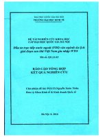 00060000361 Đầu tư trực tiếp nước ngoài (fdi) vào ngành du lịch giai Đoạn sau khi việt nam gia nhập wto