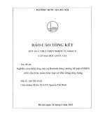 00060000377 nghiên cứu hiệu Ứng tán xạ raman tăng cường bề mặt (sers) nhờ cấu trúc nano kim loại và khả năng Ứng dụng