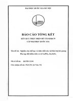 00060000379 nghiên cứu chế tạo và tính chất của vật liệu huỳnh quang pha tạp Đất hiếm trên cơ sở lapo4, zn2sno4