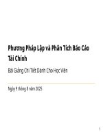Bài Giảng Lập Và Phân Tích Báo Cáo Tài Chính.pdf