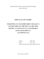 Khóa luận tốt nghiệp Nông học: Ảnh hưởng của tỉ lệ phối trộn cám gạo và cám bắp trên giá thể mùn cưa đến sinh trưởng và năng suất của nấm mối đen (Xerula radicata Relh: Fr.) tại tỉnh Gia Lai