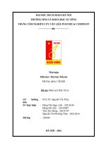 Tiểu luận môn học hóa học polyme Đề tài phân tích dsctga