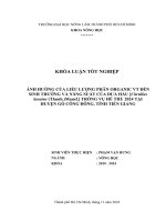 Khóa luận tốt nghiệp Nông học: Ảnh hưởng của liều lượng phân Organic VT đến sinh trưởng và năng suất của dưa hấu [Citrullus lanatus (Thunb.)Mansf.] trồng vụ Hè Thu 2024 tại huyện Gò Công Đông, tỉnh Tiền Giang