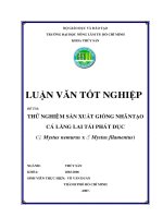 Khóa luận tốt nghiệp Thủy sản: Thử nghiệm sản xuất giống nhân tạo cá lăng lai tái phát dục (♀ Mystus nemurus x ♂ Mystus filamentus)