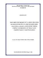 Luận văn thạc sĩ Khoa học nông nghiệp: Phát hiện chỉ thị phân tử và phân tích tính đa dạng di truyền của một số giống điều (Anacardium occidentale L.) đang được trồng ở đông nam bộ bằng kỹ thuật AFLP (Amplified Fragment Length Polymorphism)