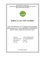 Khóa luận tốt nghiệp Công nghệ sinh học: Chế tạo chitosan từ vỏ nhộng ruồi lính đen (Hermetia illucens L.) và xác định hoạt tính kháng khuẩn trên vi khuẩn Edwardsiella ictaluri