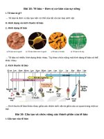 Lt sinh 6