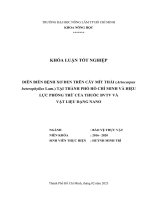 Khóa luận tốt nghiệp Bảo vệ thực vật: Diễn biến bệnh xơ đen trên cây mít thái (Artocarpus heterophyllus Lam.) tại thành phố Hồ Chí Minh và hiệu lực phòng trừ của thuốc BVTV và vật liệu dạng nano