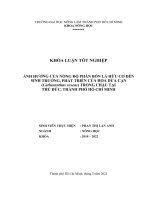 Khóa luận tốt nghiệp Nông học: Ảnh hưởng của nồng độ phân bón lá hữu cơ đến sinh trưởng, phát triển của hoa dừa cạn (Catharanthus roseus) trồng chậu tại Thủ Đức, thành phố Hồ Chí Minh