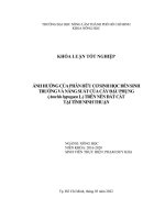 Khóa luận tốt nghiệp Nông học: Ảnh hưởng của phân hữu cơ sinh học đến sinh trưởng và năng suất của cây đậu phụng (Arachis hypogaea l.) trên nền đất cát tại tỉnh Ninh Thuận