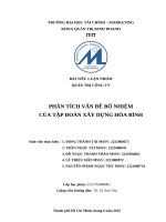 Phân tích vấn Đề bổ nhiệm của tập Đoàn xây dựng hòa bình
