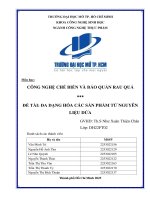 Công nghệ chế biến và bảo quản rau quả  Đề tài Đa dạng hóa các sản phẩm từ nguyên liệu dứa