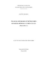 Luận văn thạc sĩ Bảo vệ thực vật: Ứng dụng chỉ thị phân tử để phát hiện gen kháng bệnh bạc lá trên cây lúa (Oryza sativa L.)