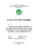 Khóa luận tốt nghiệp Chế biến thủy sản: Khảo sát quy trình chế biến cá lưỡi trâu fillet đông lạnh tại công ty chế biến và xuất nhập khẩu thủy sản đông lạnh 5 Vietrosco (vrc)