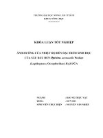 Khóa luận tốt nghiệp Bảo vệ thực vật: Ảnh hưởng của nhiệt độ đến đặc điểm sinh học của sâu đầu đen Opisina. arenosella Walker (Lepidoptera: Oecophoridae) hại dừa