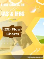 Master ifrs ias standards