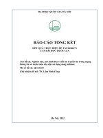 00060000674 nghiên cứu, mô hình hóa và tối Ưu truyền tin trong mạng thông tin vô tuyến siêu dày Đặc sử dụng sóng milimet