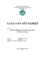Khóa luận tốt nghiệp Chế biến thủy sản: Thử nghiệm sản xuất gelatin từ da cá tra