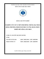 Nghiên cứu xử lý Đế nấm Đông trùng hạ thảo bằng phương pháp enzyme và Ứng dụng phát triển Đồ uống lên men