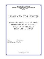 Khóa luận tốt nghiệp Chế biến thủy sản: Sản xuất nước mắm và nước mắm chay từ bã men bia, ruột cá và vi khuẩn phân lập từ chượp
