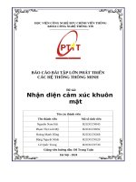 Báo cáo bài tập lớn phát triển các hệ thống thông minh Đề tài nhận diện cảm xúc khuôn mặt