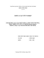 Khóa luận tốt nghiệp Nông học: Ảnh hưởng sáu loại phân bón lá đến sinh trưởng, phát triển của cúc lá nhám (Zinnia elegans) trồng chậu tại thành phố Hồ Chí Minh
