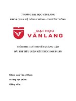 Môn học  lý thuyết quảng cáo bài thi tiểu luận kết thúc học phần