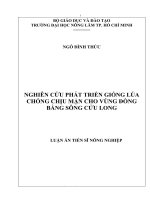 Luận án tiến sĩ Nông nghiệp: Nghiên cứu phát triển giống lúa chống chịu mặn cho vùng đồng bằng sông Cửu Long