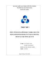 Phân tích Đẳng hình học nurbs cho tấm mỏng reissner mindlin sử dụng phương pháp cục bộ tổng quát b