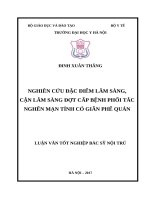 Nghiên cứu Đặc Điểm lâm sàng, cận lâm sàng Đợt cấp bệnh phổi tắc nghẽn mạn tính có giãn phế quản