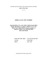 Khóa luận tốt nghiệp Nông học: Ảnh hưởng của sáu mức phân đạm đến sinh trưởng và phát triển của cây hoa vạn thọ pháp (Tagetes patula L.) trồng chậu tại thành phố Hồ Chí Minh