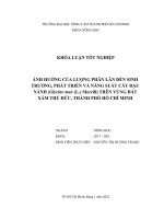 Khóa luận tốt nghiệp Nông học: Ảnh hưởng của lượng phân lân đến sinh trưởng, phát triển và năng suất cây đậu nành (Glycine max (L.) Merrill) trên vùng đất xám Thủ Đức, thành phố Hồ Chí Minh
