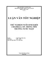 Khóa luận tốt nghiệp Nuôi trồng thủy sản: Thử nghiệm nuôi sinh khối Chlorella sp. trong môi trường nước ngọt
