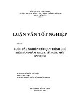 Khóa luận tốt nghiệp Chế biến thủy sản: Bước đầu nghiên cứu quy trình chế biến sản phẩm snack từ rong mứt (Porphyra)