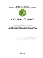 Khóa luận tốt nghiệp Công nghệ kỹ thuật hóa học: Nghiên cứu biến tính chitosan kết hợp với carbonxymethylcellulose tạo polymer matrix dẫn truyền curcumin