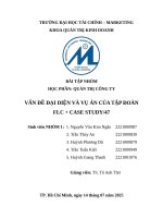 Quản trị công ty vấn Đề Đại diện và vụ Án của tập Đoàn flc + case study47