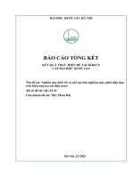 00060000685 nghiên cứu thiết kế và chế tạo thử nghiệm máy phát Điện dựa trên hiệu Ứng ma sát Điện nano