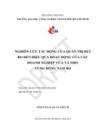 Tóm Tắt Nghiên Cứu Tác Động Của Quản Trị Rủi Ro Đến Hiệu Quả Hoạt Động Của Các Doanh Nghiệp Vừa Và Nhỏ Vùng Đông Nam Bộ