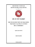 MỘT SỐ GIẢI PHÁP THÚC ĐẨY HOẠT ĐỘNG NHẬP KHẨU TẠI CÔNG TY CỔ PHẦN BOCA COMMODITY