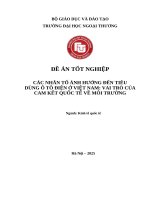 Các nhân tố Ảnh hưởng Đến tiêu dùng Ô tô Điện tại  việt nam vai trò của các cam kết quốc tế về môi trường