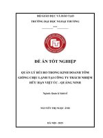 Quản lý rủi ro trong kinh doanh tôm giống chịu lạnh tại Công ty TNHH Việt Úc - Quảng Ninh